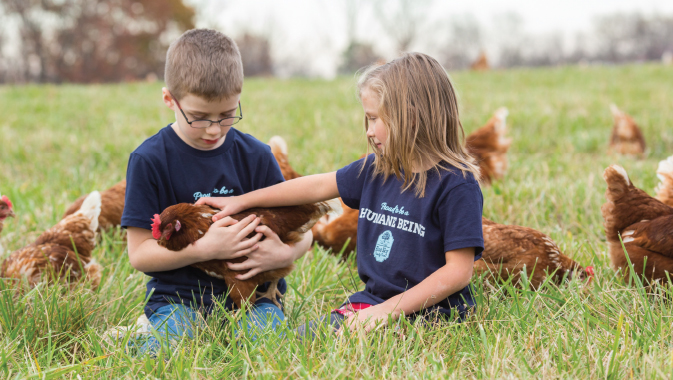 Innovative Approaches for Ethical Eggs